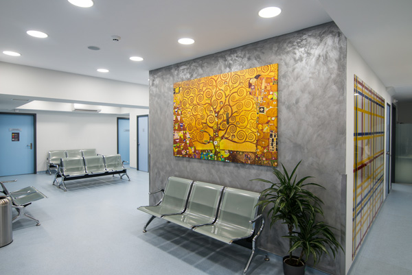 το διαγνωστικό